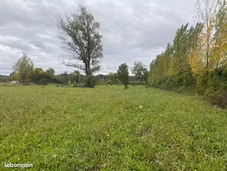 terrain spacieux pour chevaux