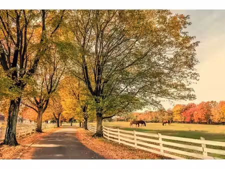 superbe domaine equestre en région parisienne