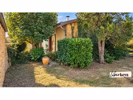 saint-cyr-au-mont-d'or-maison d'architecte en pierre doree-230 m²-espace professionnel...