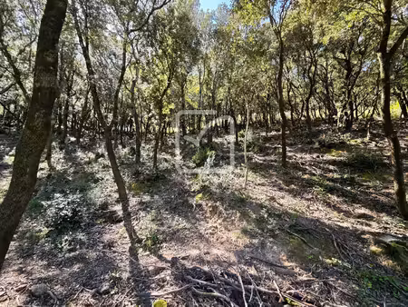 beau et grand terrain constructible environnement nature!