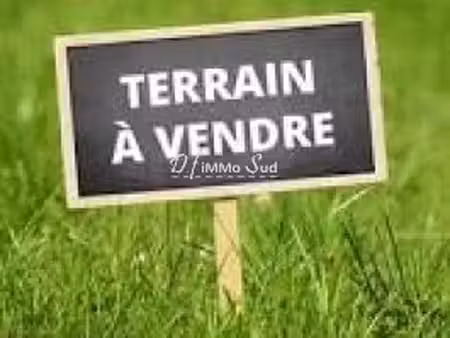 grand terrain agricole