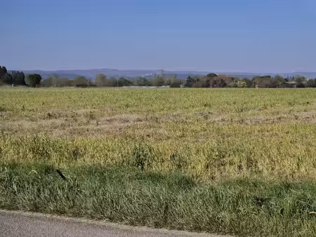 terres agricoles entre pexiora et villasavary