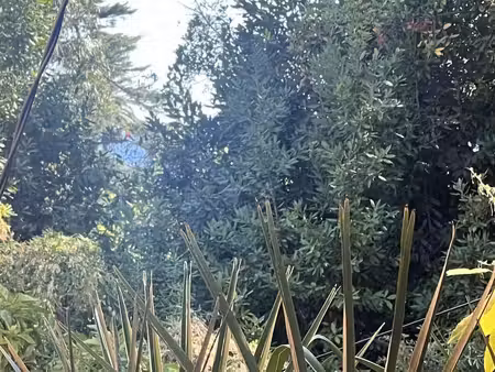 cannes – croix des gardes – terrain à bâtir 3 595 m² – vue mer – exclusivité orpi