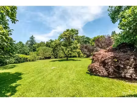 terrain constructible à fessy – rare sur le marché !