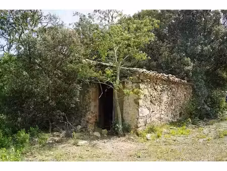 mazet de 63 m2 sur 65000 m² de terrain