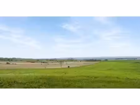 terrain agricole
