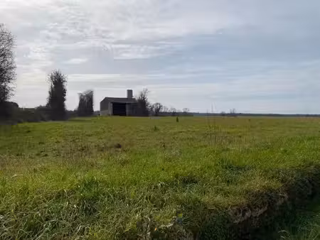 terrain à bâtir à plassay (17250)