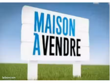 maison avec grand terrain