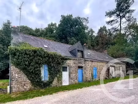 achat : maison (56890)