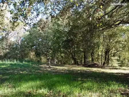 terrain 314 m² riaille
