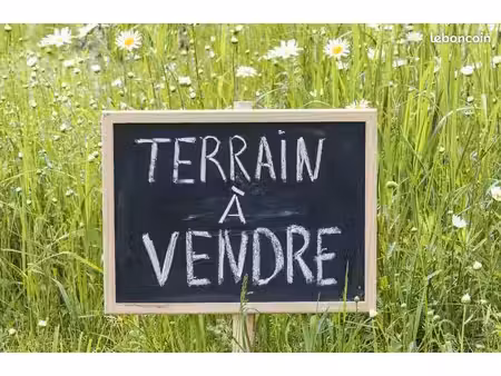 terrain 6442 m² saint etienne de mer morte