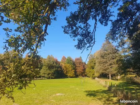 magnifique terrain de loisir à chateaubriand (44)
