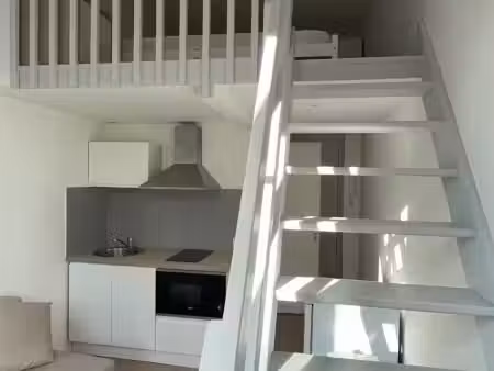 studio 1 pièce 13 m²