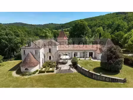 propriété de caractère avec manoir  maison d'amis  piscine