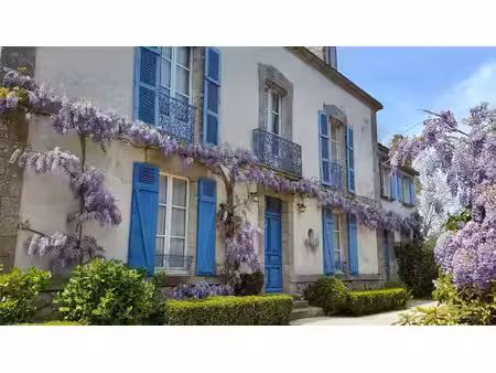 vannes - morbihan - belle maison de maître de 300m² plein sud  avec dépendances et jardin.