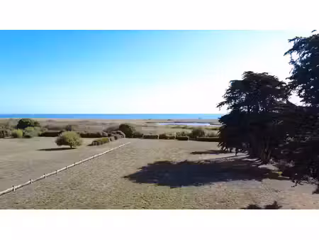 propriété vue mer - 6 chambres - plus de 7 000 m2 de terrain