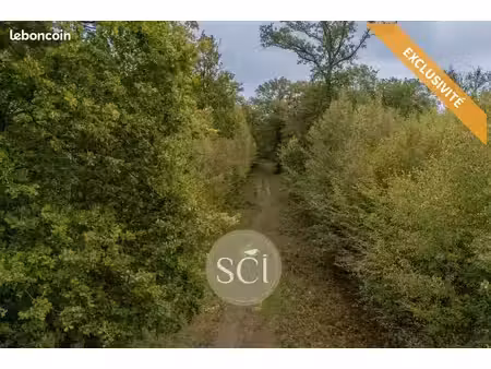 terrain 245000 m² cercottes