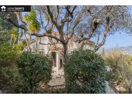 achat : maison (06000)