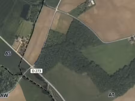 parcelles de bois