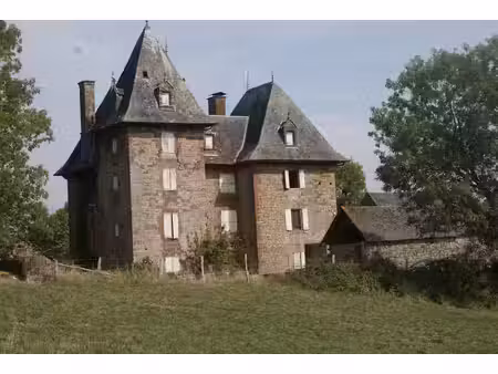 chateau a renove sur terrain d'environ 10911m2