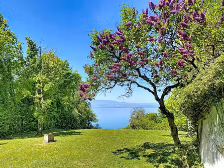 thonon-les-bains - villa pieds dans l'eau - ponton - bouée bateau - 7 chambres