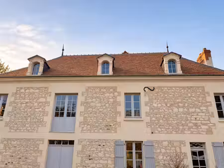 domaine de moulin historique de plus de six hectares — bossay-sur-claise