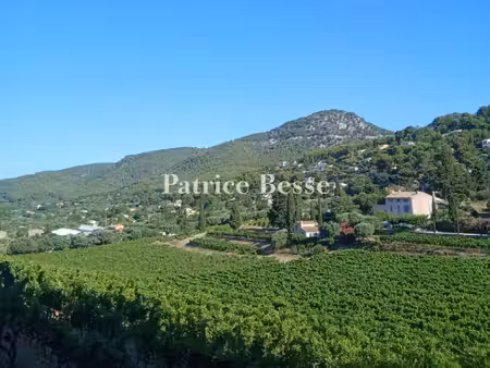 bastide du 19e s.  sa maison d'amis et son vignoble à ollioules