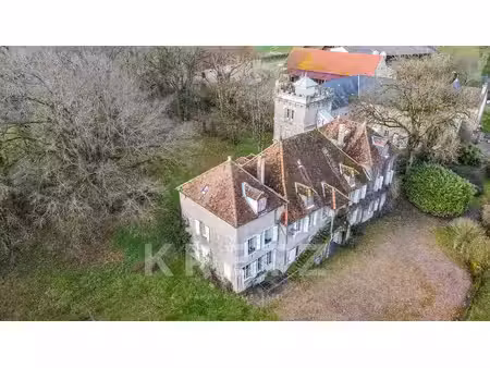 château xvie de 515 m2 avec parc  piscine et tennis - bourgogne