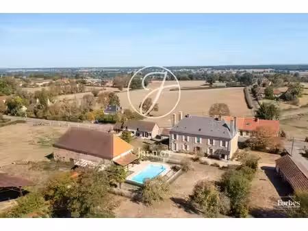 nievre- decize- gentilhommière xviiième- 2 gites- dépendances- piscine- 3 2ha