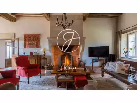 tannay-nievre- deux maisons avec 4700 m² de terrain à vendre.