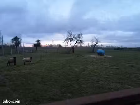 terrain 5200 m²