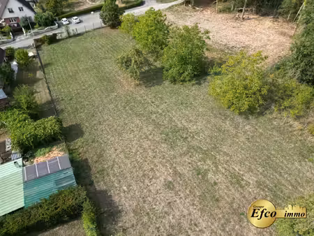 opportunité ! terrain constructible hirtzbach