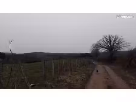 prairie proche de pourrain