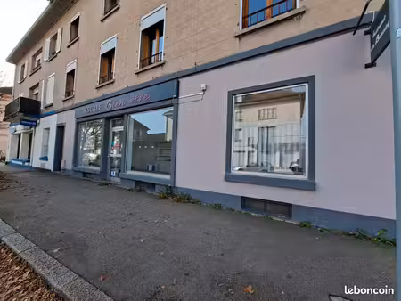 local commercial avec jardin privatif