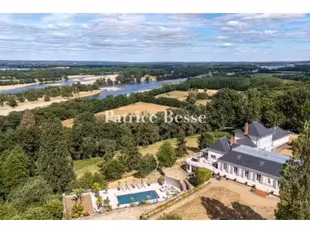 une demeure et son panorama remarquable sur la loire