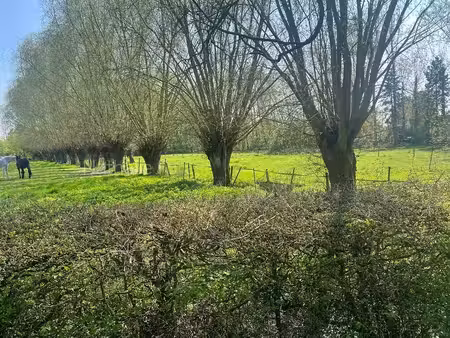 villeneuve d'ascq   proximité receuil  très belle ferme flamande