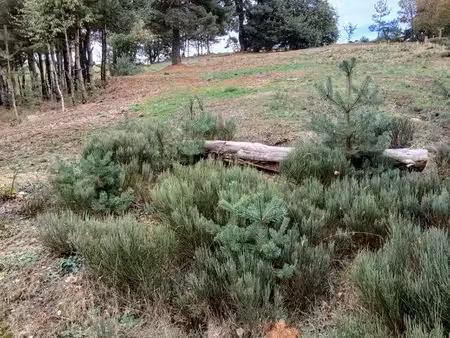 terrain de loisir