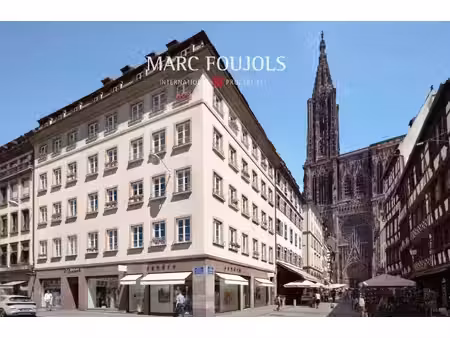strasbourg centre historique - 2 pièces rénové
