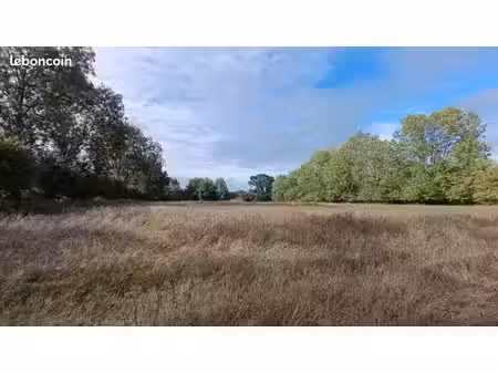 herbage 1ha avec abri chevaux