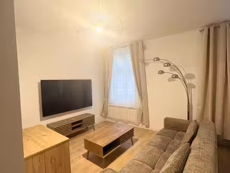 appartement meublé 1 chambre avec cour privative et dépendance - secteur rue de preize