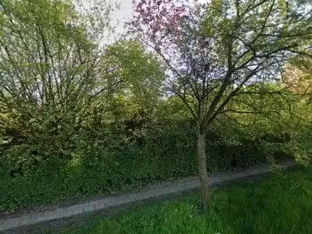 très belle parcelle de terrain à bâtir