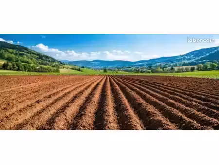 recherche terrain en location