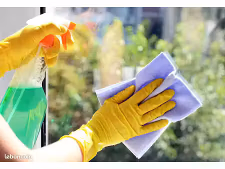 entreprise lavage de vitres