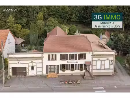 vente pro (murs) | local activité restauration et habitation | 500 m² | troisfontaines 57