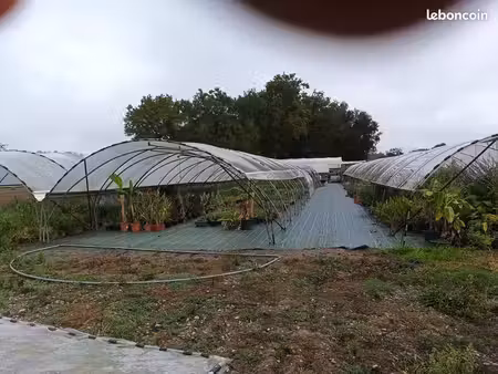 exploitation horticole ou maraichere