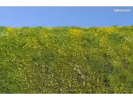 recherche terrain agricole