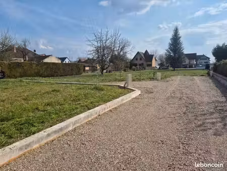 terrain viabilisé entouré de jardins
