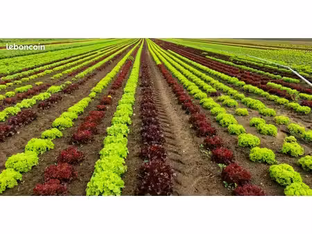 recherche terrain agricole