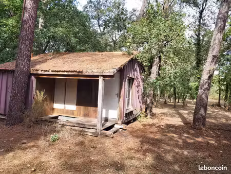 terrain de loisir boisé avec chalet
