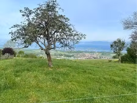 bâtisse à rénover ou terrain constructible
